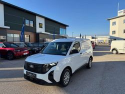 Neu 2025 Ford Transit Trend Van | € 23.990 (Fairer Preis)