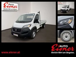 Weiss Neu 2024 Fiat Ducato Van | € 35.990 (Guter Preis)