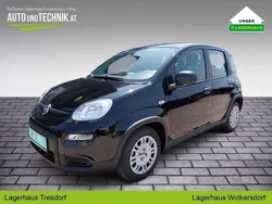 Schwarz Neu 2025 Fiat Panda Kleinwagen | € 14.921