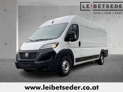 Weiß Neu 2024 Fiat Ducato Van | € 33.989 (Superpreis)