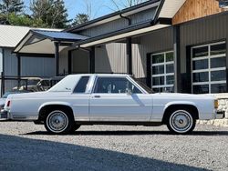 Weiß Gebraucht 1985 Ford LTD Limousine | € 13.500