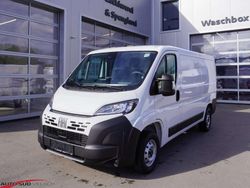 Weiß Neu 2025 Fiat Ducato Van | € 25.700 (Superpreis)