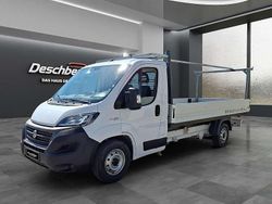 Weiß Gebraucht 2021 Fiat Ducato Van | € 28.200 (Etwas zu teuer)