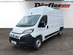 Gebraucht 2024 Fiat Ducato Van | € 39.990 (Teuer)