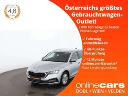 Silber Gebraucht 2020 Skoda Octavia Ambition Kombi | € 21.050 (Guter Preis)