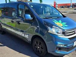 Blau Gebraucht 2017 Fiat Talento Van | € 25.000 (Teuer)