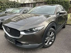 Braun Gebraucht 2021 Mazda CX-30 Comfort SUV | € 20.980 (Guter Preis)