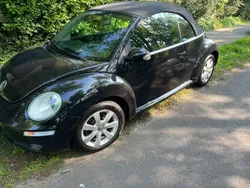 VW Beetle