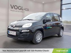 Schwarz Neu 2025 Fiat Grande Panda Kleinwagen | € 14.850 (Superpreis)