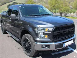 Grau Gebraucht 2019 Ford F-150 Abholung | € 46.200