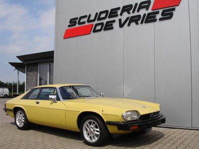 Gelb Gebraucht 1983 Jaguar XJS S Coupé | € 27.500