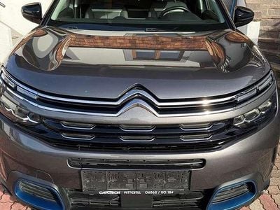Grau Gebraucht 2022 Citroën C5 Aircross Shine SUV | € 22.190