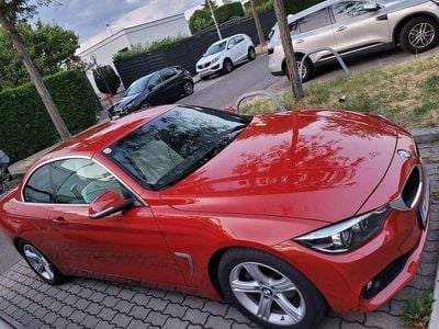 Rot Gebraucht 2019 BMW 420 Cabrio | € 34.000 (Etwas zu teuer)