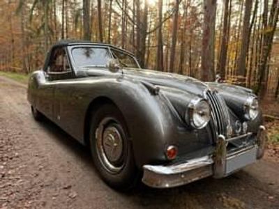 Grau Gebraucht 1956 Jaguar XK Cabrio | € 98.500