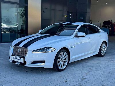 Weiß Gebraucht 2013 Jaguar XF Luxury Limousine | € 14.990 (Etwas zu teuer)