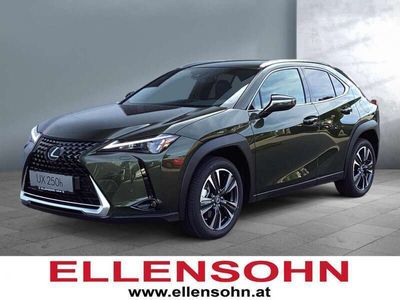 gebraucht Lexus UX 250h Style Edition Hybrid MJ 23 *Bi-LED*BSM*