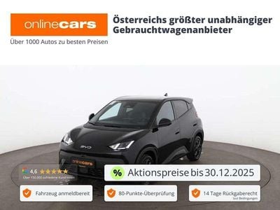 Blau Neu 2025 BYD Dolphin Surf Comfort Kleinwagen | € 24.990 (Fairer Preis)