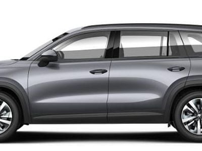 Neu Skoda Kodiaq Business Line 150 PS (110 kW) 2026 SUV