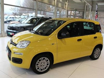 Gelb Neu 2025 Fiat Panda Limousine | € 13.990 (Guter Preis)