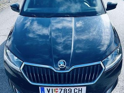 Gebraucht Skoda Fabia Active 75 PS (55 kW) 2019 Kleinwagen