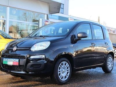 gebraucht Fiat Panda 4x2 FireFly Hybrid 70 Pop