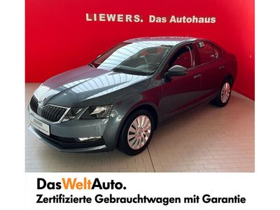 gebraucht Skoda Octavia 1,6 TDI Ambition DSG