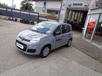 gebraucht Fiat Panda 1,0 FireFly Hybrid 70 Hybrid