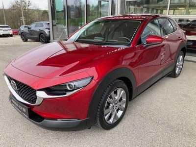 gebraucht Mazda CX-30 G122 Comfort+/SO/ST/PR/TE AHK NAVI