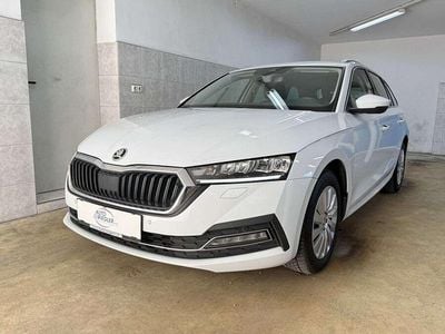 Gebraucht Skoda Octavia Business Line 116 PS (85 kW) 2020 Weiß Kombi