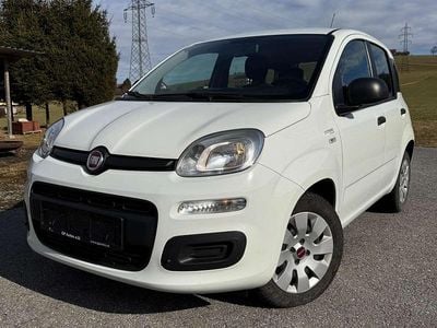 Gebraucht Fiat Panda 69 PS (50 kW) 2017 Weiß Kleinwagen