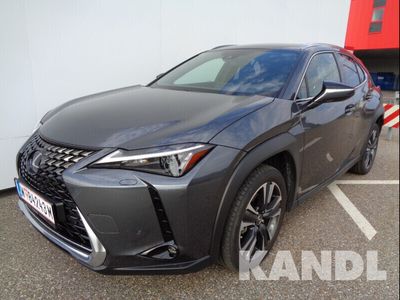 gebraucht Lexus UX 250h Style Edition 1.4kWh Aut.