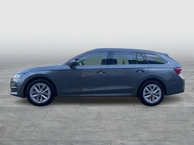Gebraucht Skoda Octavia Selection 150 PS (110 kW) 2024 Mittelgrau  metallic Kombi
