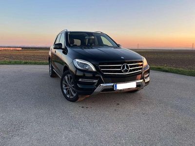 Gebraucht 2013 Mercedes ML250 SUV | € 19.000