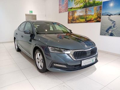 gebraucht Skoda Octavia Business TSI