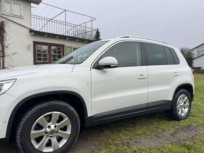 gebraucht VW Tiguan 2.0 TDI DPF 4Motion DSG Trend & Fun