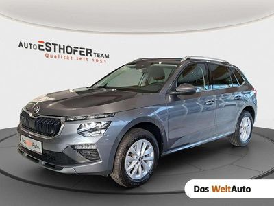 Mittelgrau metallic Gebraucht 2025 Skoda Kamiq Selection SUV | € 26.980 (Etwas zu teuer)