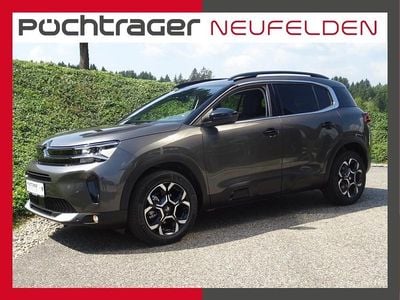 Neu Citroën C5 Aircross 131 PS (96 kW) 2025 Grau SUV