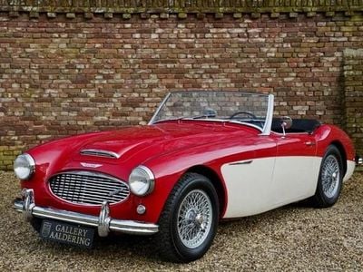 Gebraucht Austin Healey 3000 MK II 140 PS (102 kW) 1961 Cabrio