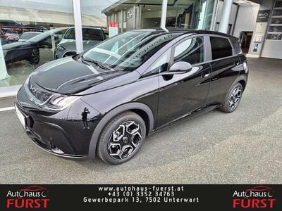 Gebraucht BYD Dolphin Comfort 64 kW (88 PS) 2025 Schwarz Kleinwagen