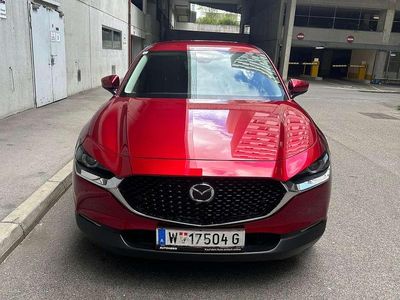 Rot Gebraucht 2019 Mazda CX-30 SUV | € 26.000 (Teuer)