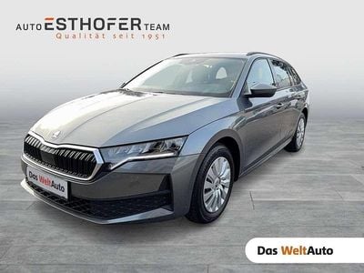 Mittelgrau metallic Gebraucht 2025 Skoda Octavia Essence Kombi | € 28.990 (Fairer Preis)