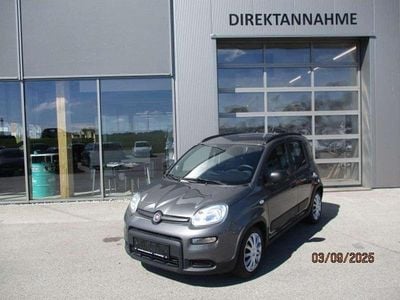 Grau Gebraucht 2021 Fiat Panda City Life Kleinwagen | € 10.500