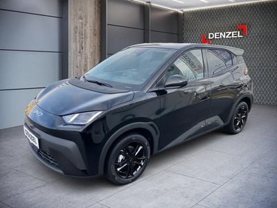 gebraucht BYD Dolphin Surf Comfort