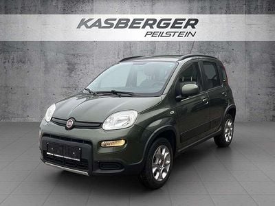 Grün Gebraucht 2015 Fiat Panda Kleinwagen | € 10.900