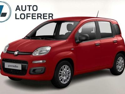 Rot Neu 2025 Fiat Grande Panda Kleinwagen | € 15.990 (Superpreis)