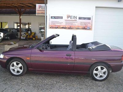 Violett Gebraucht 1995 Ford Escort Cabriolet Cabrio | € 3.800