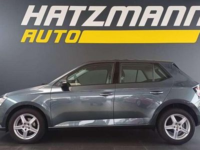 Grau Gebraucht 2020 Skoda Fabia Ambition Kleinwagen | € 12.490 (Guter Preis)