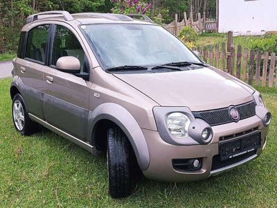 gebraucht Fiat Panda Cross Panda 4x4 Cross 13 16V JTD Multijet