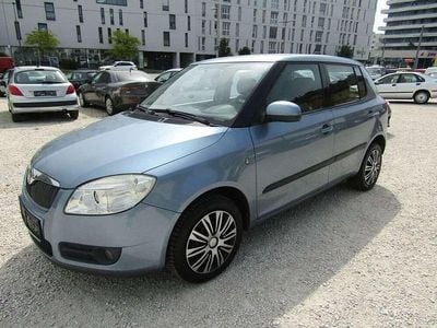 Gebraucht Skoda Fabia Ambiente 69 PS (50 kW) 2009 Grau Kleinwagen