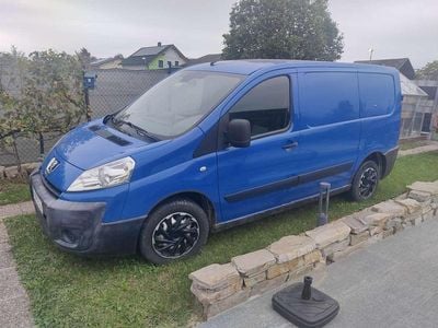 Blau Gebraucht 2009 Peugeot Expert Van | € 2.300
